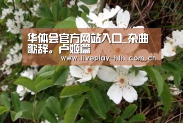 华体会