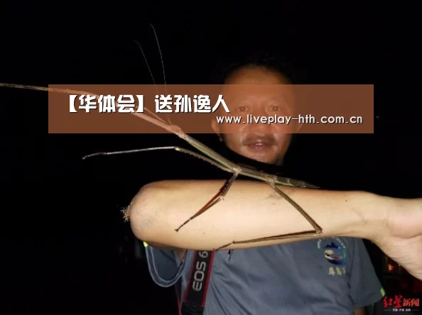 华体会官方网站入口