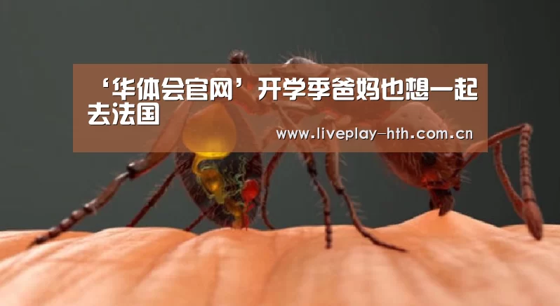 华体会