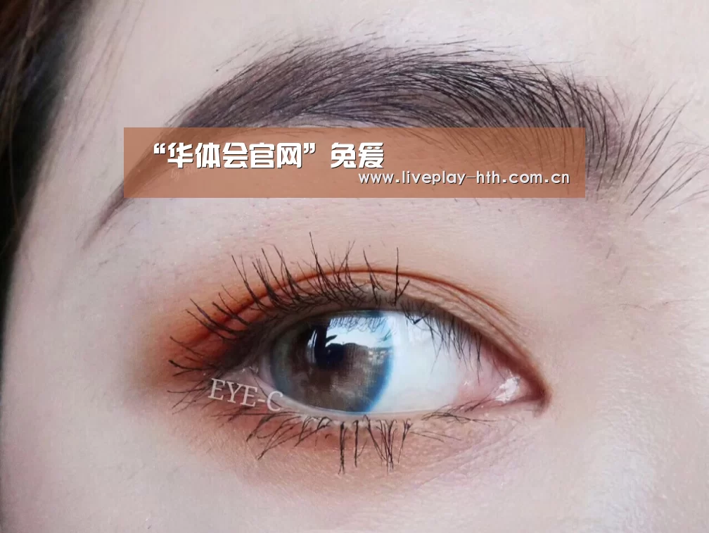“华体会官网”兔爰
