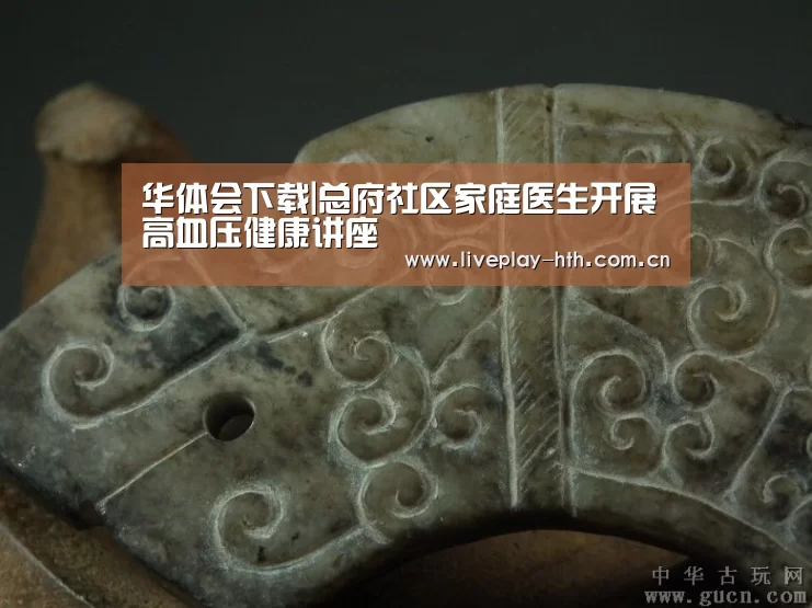 华体会下载|总府社区家庭医生开展高血压健康讲座(图3) 华体会官方网站入口