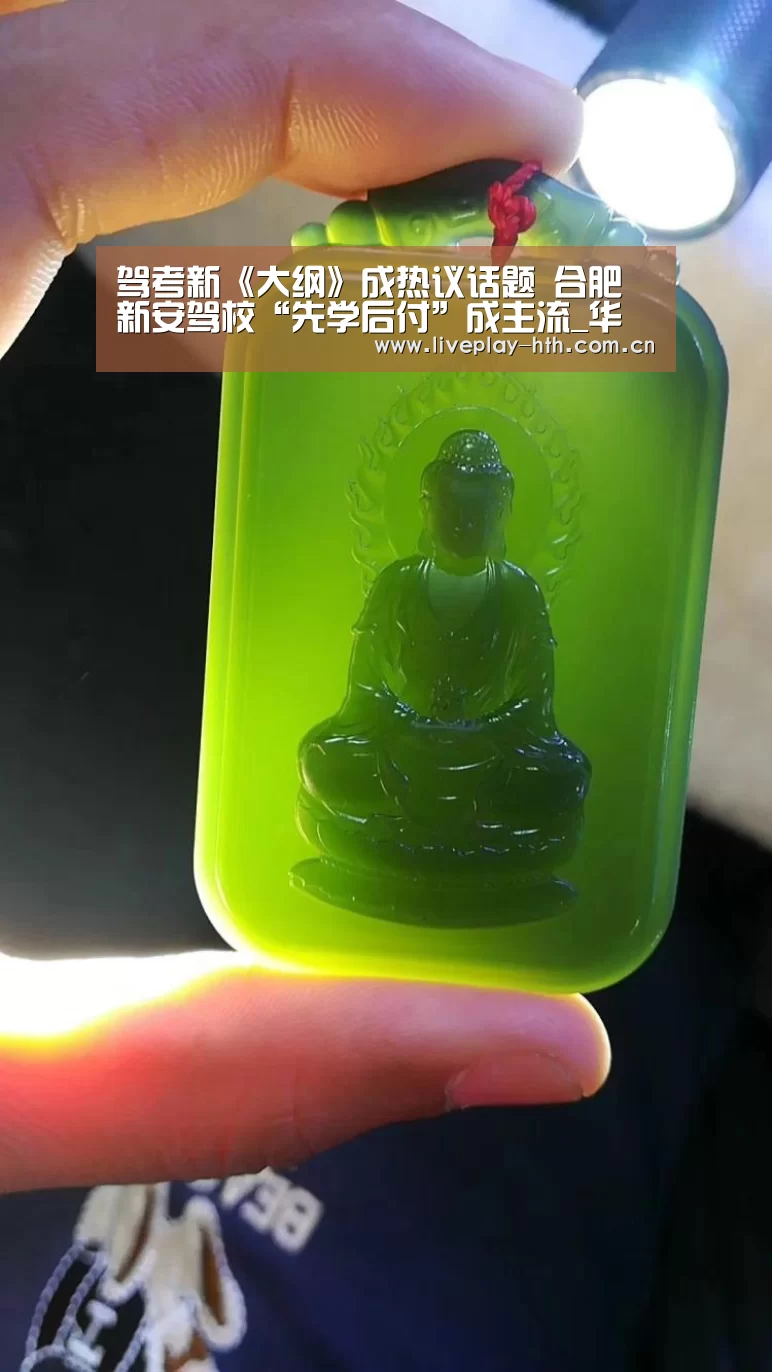 驾考新《大纲》成热议话题 合肥新安驾校“先学后付”成主流_华体会(图2) 华体会下载