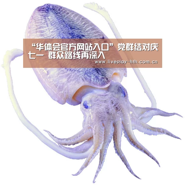 华体会官方网站入口